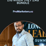 Ryan Levesque – Zig When They Zag Bundle